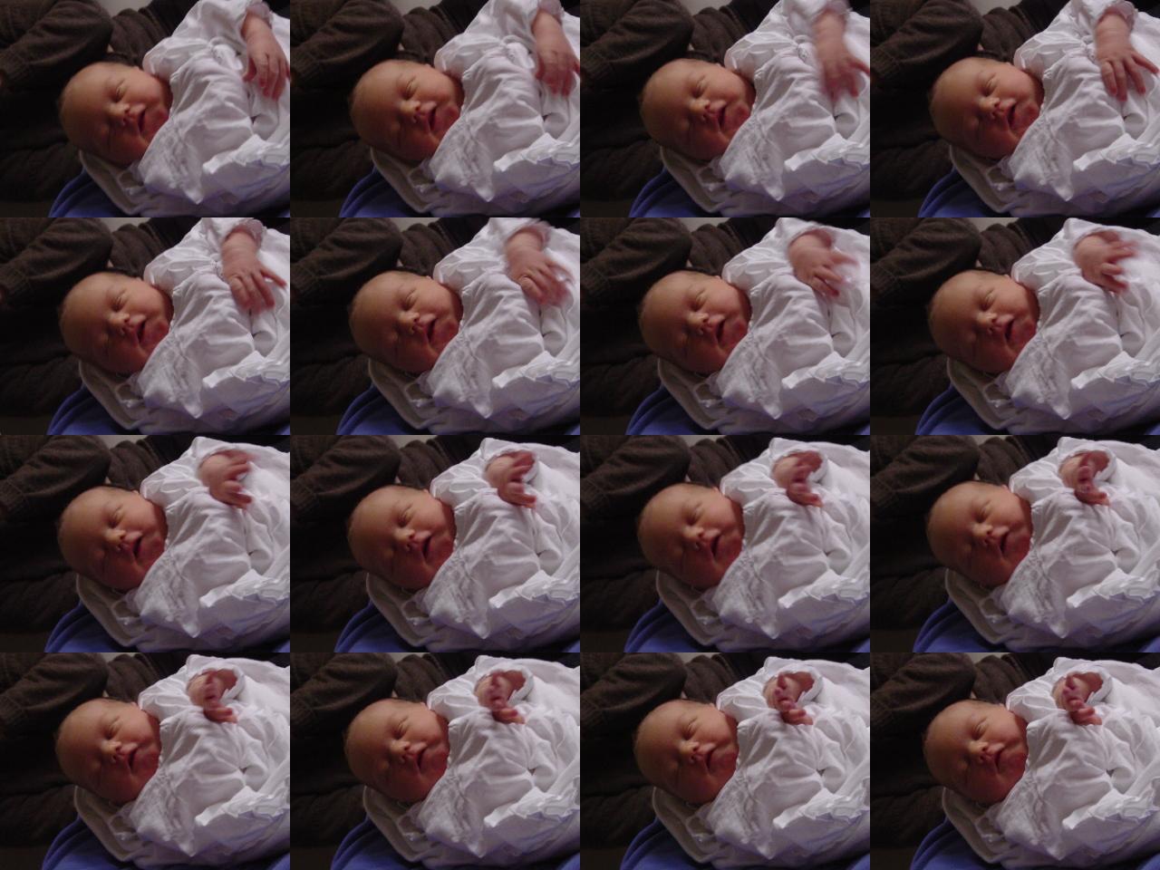Baby/2003-10-11/many_faces2.jpg