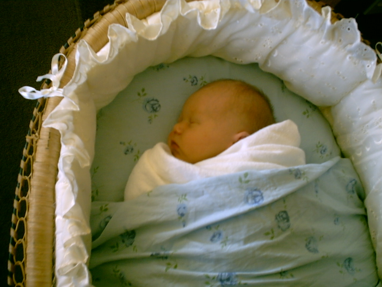 Baby/2003-10-16/IMG00003.JPG