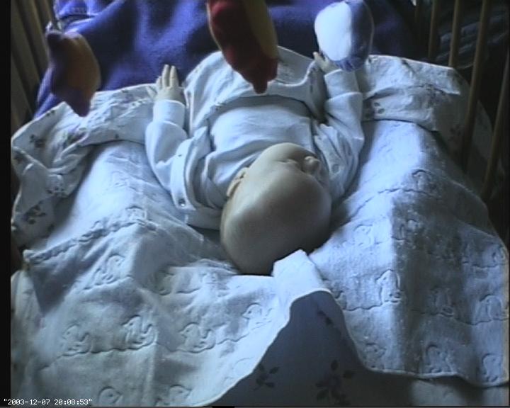 Baby/2003-11-28/webcam01.jpg