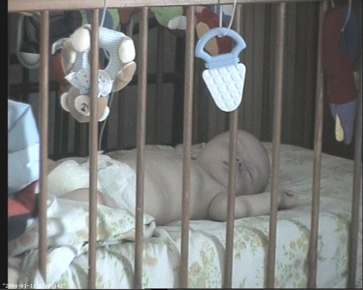 Baby/webcam/20040111-170829.jpg