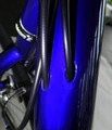 SP_559_detail_3.JPG