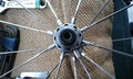 mong-front-hub1.jpg