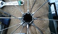 mong-front-hub2.jpg