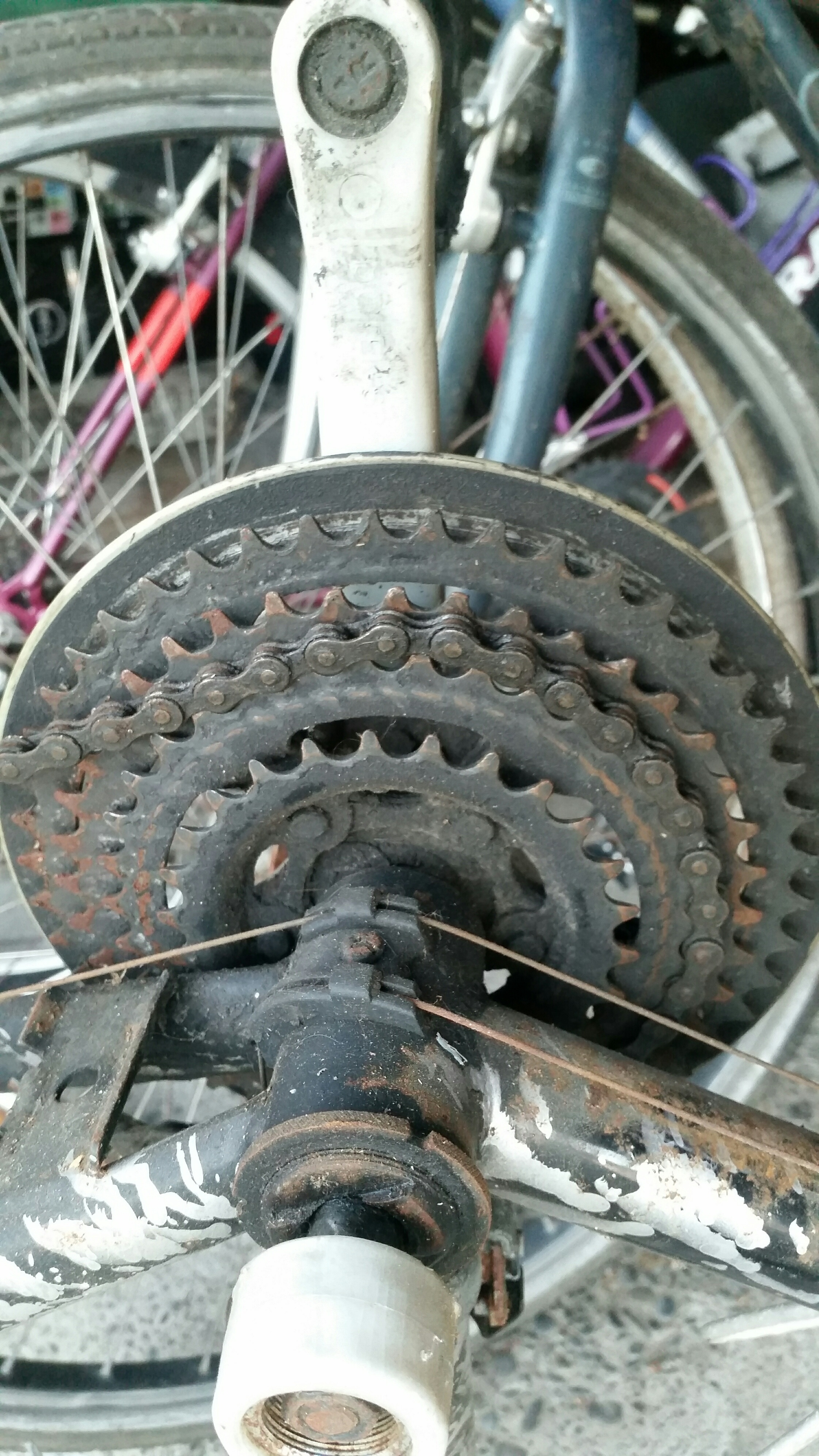 bikes/quad/raleigh-delmara-quad-chainring.jpg
